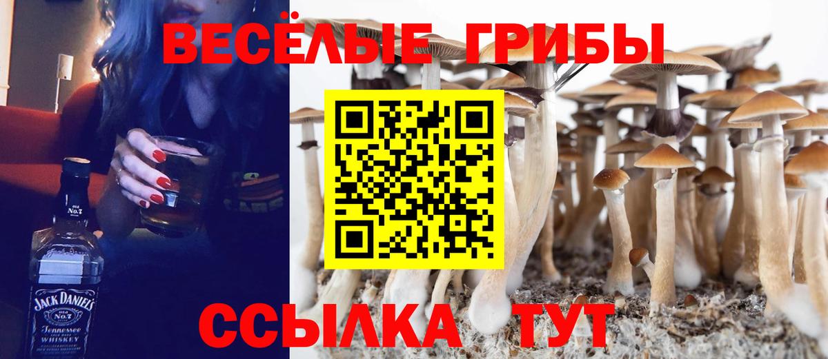 Псилоцибиновые грибы MAGIC MUSHROOMS Печора
